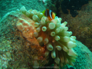 Makadi-Bay-05-2022-189