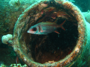 Makadi-Bay-05-2022-190