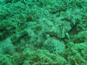 Makadi-Bay-05-2022-192