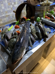 Makadi-Bay-05-2022-205