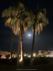 Makadi-Bay-05-2022-219