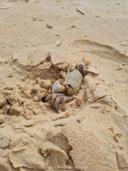 Makadi-Bay-05-2022-221