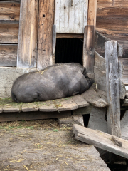 Soelden-September-2022-163