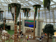 AIDAnova-Kanaren-01-2023-022