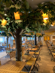 AIDAnova-Kanaren-01-2023-040