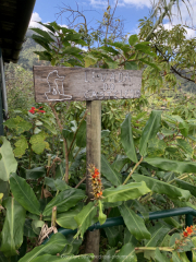 AIDAnova-Kanaren-01-2023-050