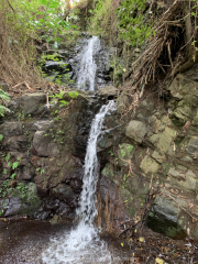 AIDAnova-Kanaren-01-2023-055