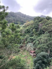 AIDAnova-Kanaren-01-2023-056