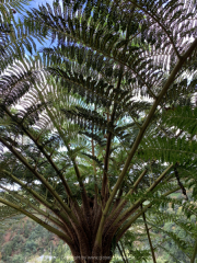 AIDAnova-Kanaren-01-2023-058