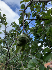 AIDAnova-Kanaren-01-2023-059