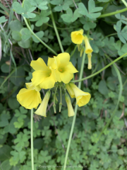 AIDAnova-Kanaren-01-2023-060