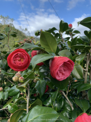 AIDAnova-Kanaren-01-2023-061