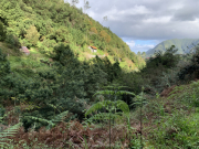 AIDAnova-Kanaren-01-2023-062