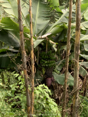 AIDAnova-Kanaren-01-2023-063