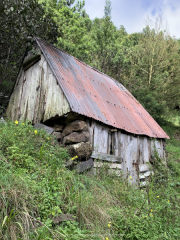 AIDAnova-Kanaren-01-2023-064