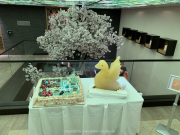 AIDAnova-Kanaren-01-2023-169