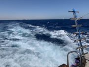 Hurghada-James-and-Mac-031