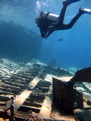 Hurghada-James-and-Mac-034