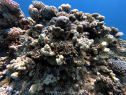 DCIM100GOPROGOPR2186.JPG