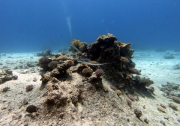 DCIM100GOPROGOPR2192.JPG