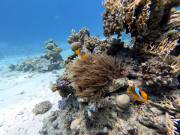 DCIM100GOPROGOPR2204.JPG