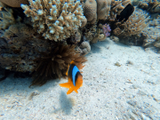 DCIM100GOPROGOPR2229.JPG