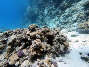 DCIM100GOPROGOPR2244.JPG