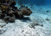 DCIM100GOPROGOPR2248.JPG