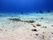 DCIM100GOPROGOPR2276.JPG