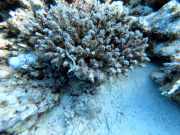 DCIM100GOPROGOPR2281.JPG