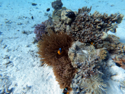 DCIM100GOPROGOPR2288.JPG