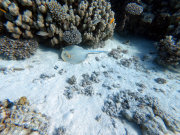 DCIM100GOPROGOPR2291.JPG