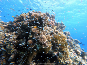 DCIM100GOPROGOPR2324.JPG