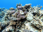 DCIM100GOPROGOPR2311.JPG