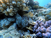 DCIM100GOPROGOPR2318.JPG