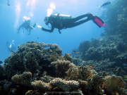 Hurghada-James-and-Mac-059
