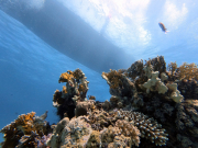 DCIM\100GOPRO\GOPR2200.JPG
