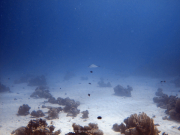 Hurghada-James-and-Mac-061