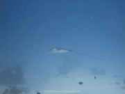 Hurghada-James-and-Mac-062