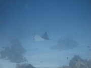 Hurghada-James-and-Mac-063