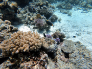 Hurghada-James-and-Mac-065