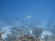 Hurghada-James-and-Mac-068