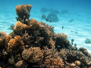 Hurghada-James-and-Mac-073