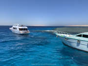 Hurghada-James-and-Mac-075