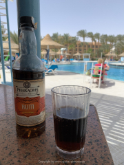 Hurghada-James-and-Mac-079