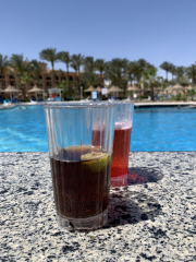 Hurghada-James-and-Mac-083