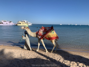 Hurghada-James-and-Mac-085