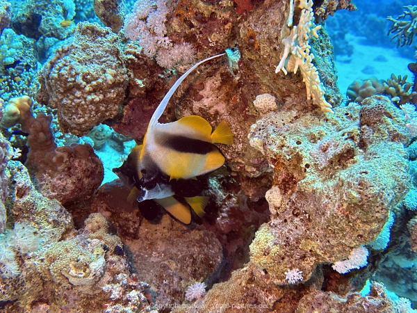 Soma-Bay-04-2024-017