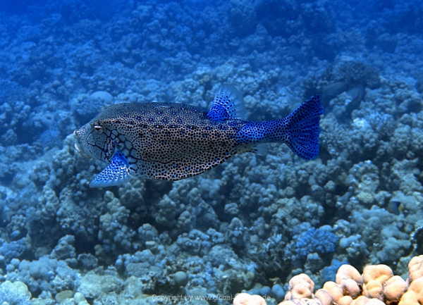 Soma-Bay-04-2024-023