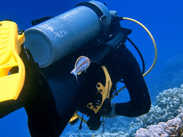 Soma-Bay-04-2024-024